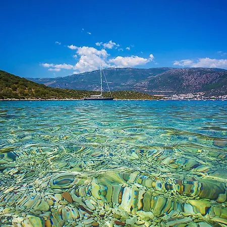 Mansa